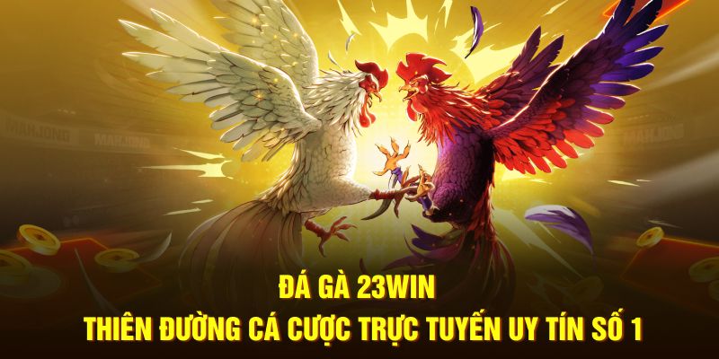 Đá Gà 23Win - Trận Đấu Kịch Tính